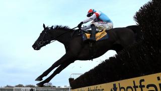 Haydock National Hunt